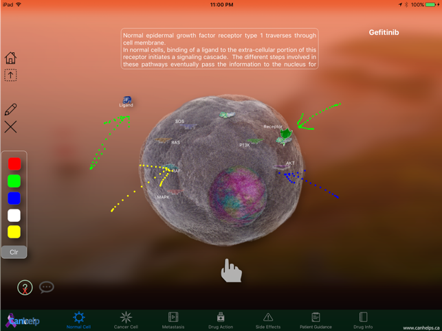 TKI Gefitinib(圖1)-速報App