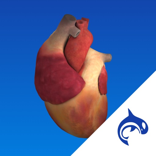 Heart Decide - Education & Engagement iOS App