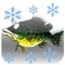 HOW TO ICE FISH AND DO IT WELL is the BEST ICE FISHING app