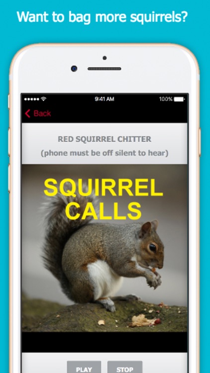 Squirrel Hunting Calls screenshot-0