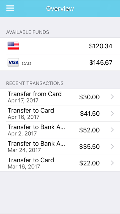 LV Pay screenshot 2