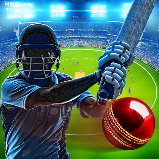 Cricket Multiplayer Icon