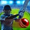 Cricket Multiplayer