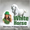 White Horse Photo Frames 3D Wallpapers Photography
