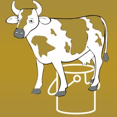 Activities of Milk The Cow - Cow Milking
