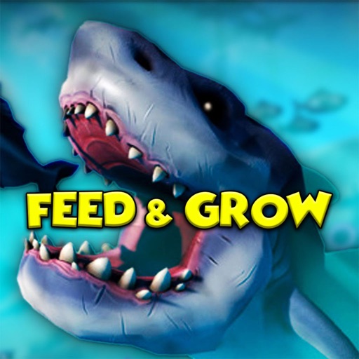 feed and grow fish great white shark