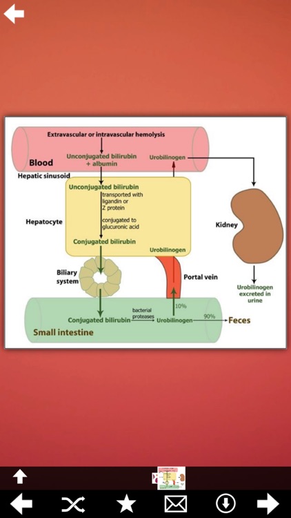 List of Antioxidants screenshot-4