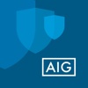 AIG for Business