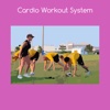 Cardio workout system