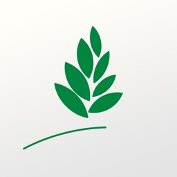 AlWalimah الوليمة