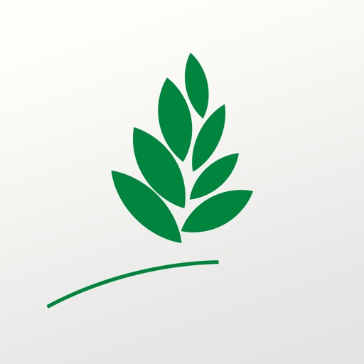 AlWalimah الوليمة