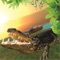 Wild Angry Crocodile Simulator 3D