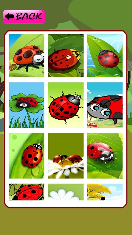 Kids Puzzles Games Page Ladybug Jigsaw Version