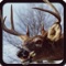 Deer Hunting Simulator Game 3D Pro