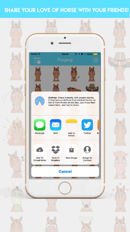 Ponymoji