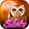 Slots: Owl Moon Casino &amp; Multiline Slot Machines