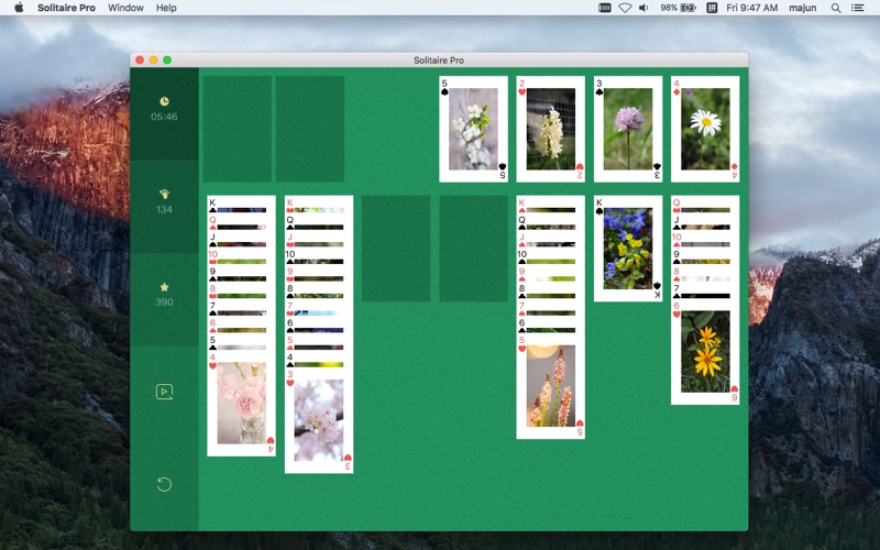 Solitaire Pro - Play classic card game thumbnail 3