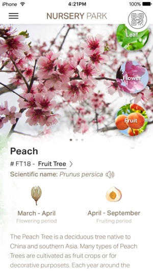 Discover Trees at West Kowloon 西九樹木導賞(圖2)-速報App