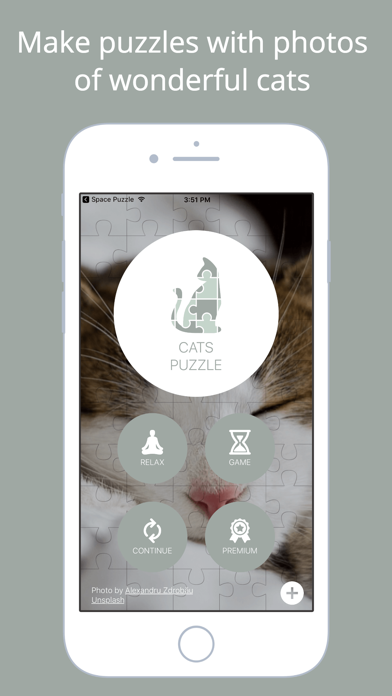 How to cancel & delete Cats Puzzle - Play with your favorite cats photos from iphone & ipad 1