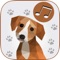 Do you have a baby who loves learning animal sounds