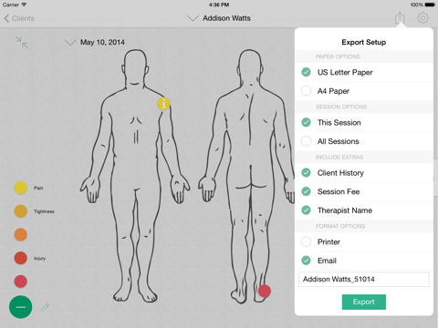 Massage Therapist Notebook screenshot 4