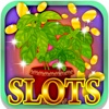 Garden Slot Machine: Lay a bet on the lucky plants