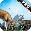 Deer Kill Hunting  Pro