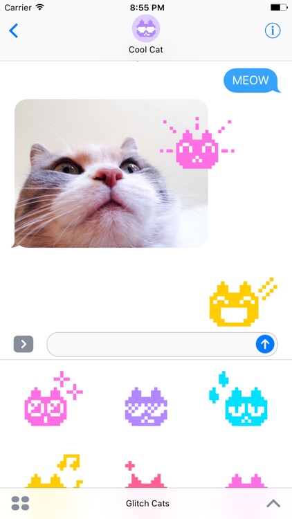 Glitch Cats