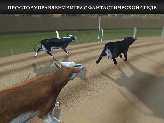 Корова Гонки Бесплатная игра на iPad