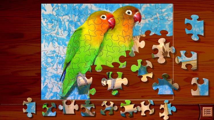 Jigsaw Puzzles⁺
