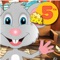 Cool Mouse 5th grade National Curriculum math games for kids the largest essential collection of educational activities based on the US National Common Core State Standards for Preschool student