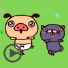 Funny Piggy Animated
