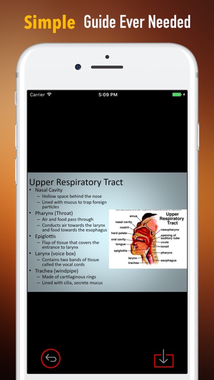 Department of Respiratory-Glossary and Study Guide screenshot-1
