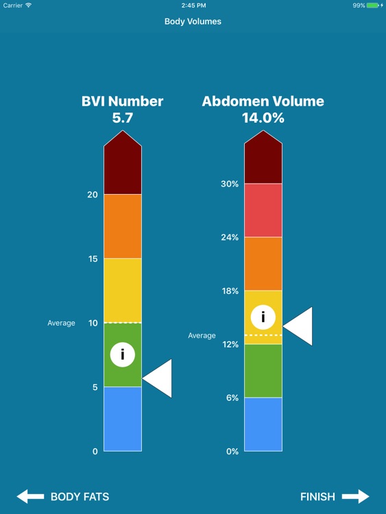 BVI Pro - 3D Body Volume & Fat Measurement Tool screenshot-3
