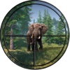 Wild Animal Hunting Pro: Hunter in African Forest