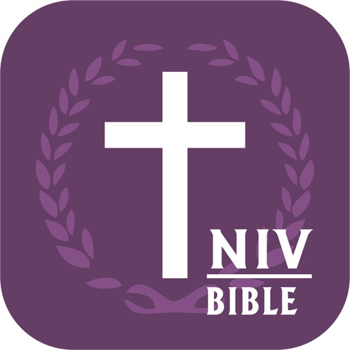 NIV Bible.