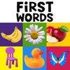 Toddlers My Baby First Words Flash Cards Free