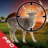 Action Extreme Deer PRO: Game Hunter Expert