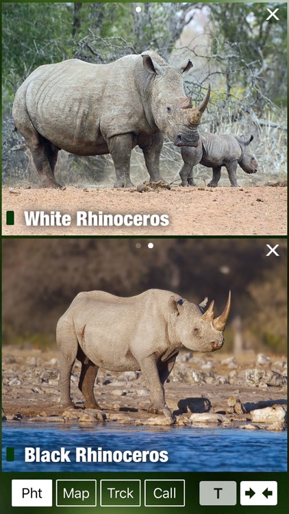 Mammal Guide of Southern Africa screenshot-3