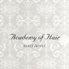 Academy Of Hair