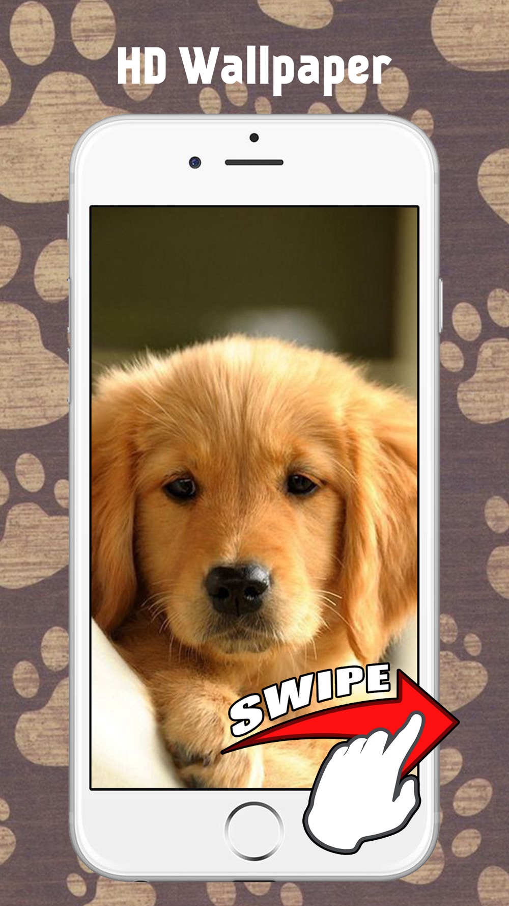 犬の壁紙と背景 Free Download App For Iphone Steprimo Com
