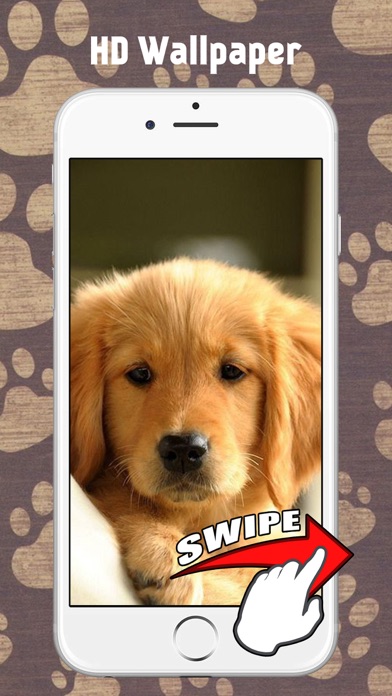 犬の壁紙と背景 Iphoneアプリ Applion