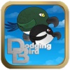 Dodging Bird