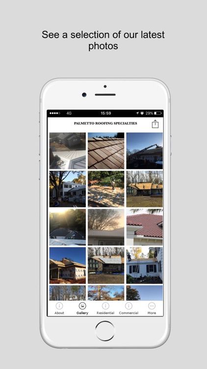 Palmetto Roofing Specialties