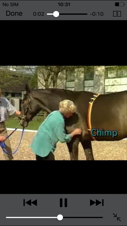 Tellington Training for Horses