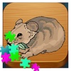 Bear Animal Puzzle Animated For Toddlers