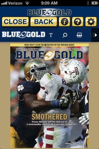 Blue and Gold Illustrated screenshot 2