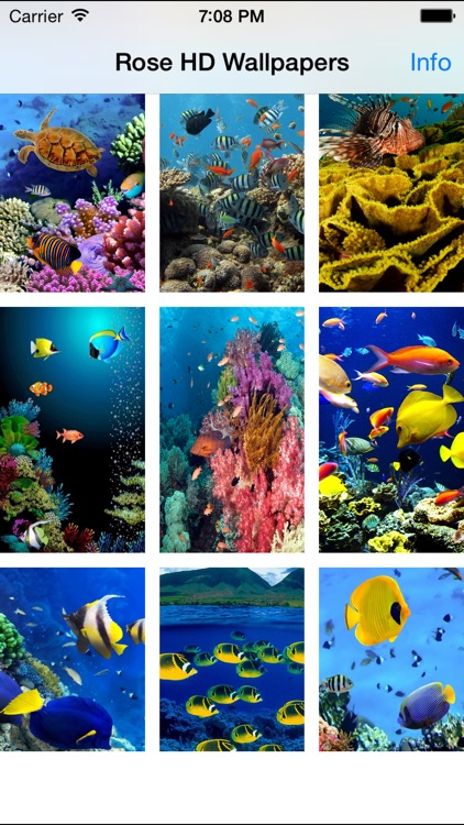 Underwater World Livewallpaper