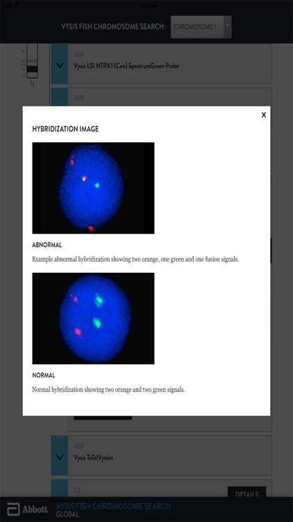 Abbott FISH Chromosome Search