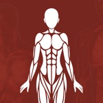 Learn Physiology Body Anatomy